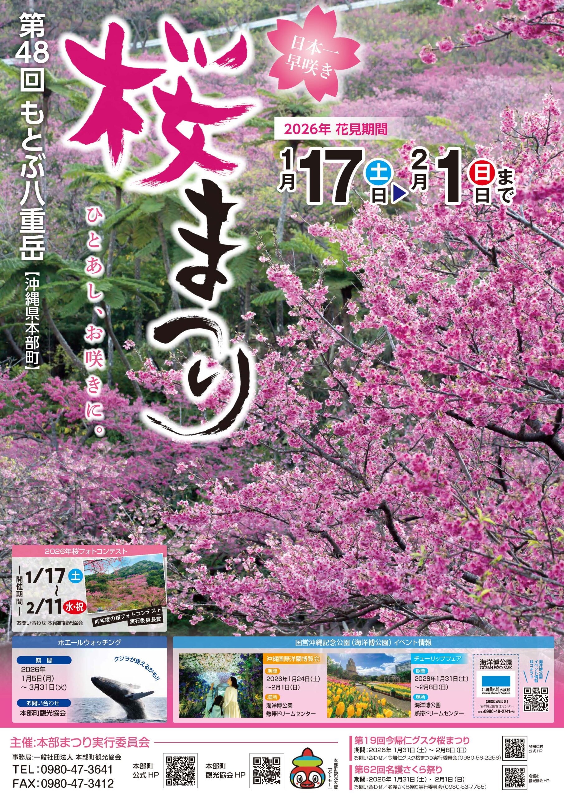 第48回もとぶ八重岳桜まつり